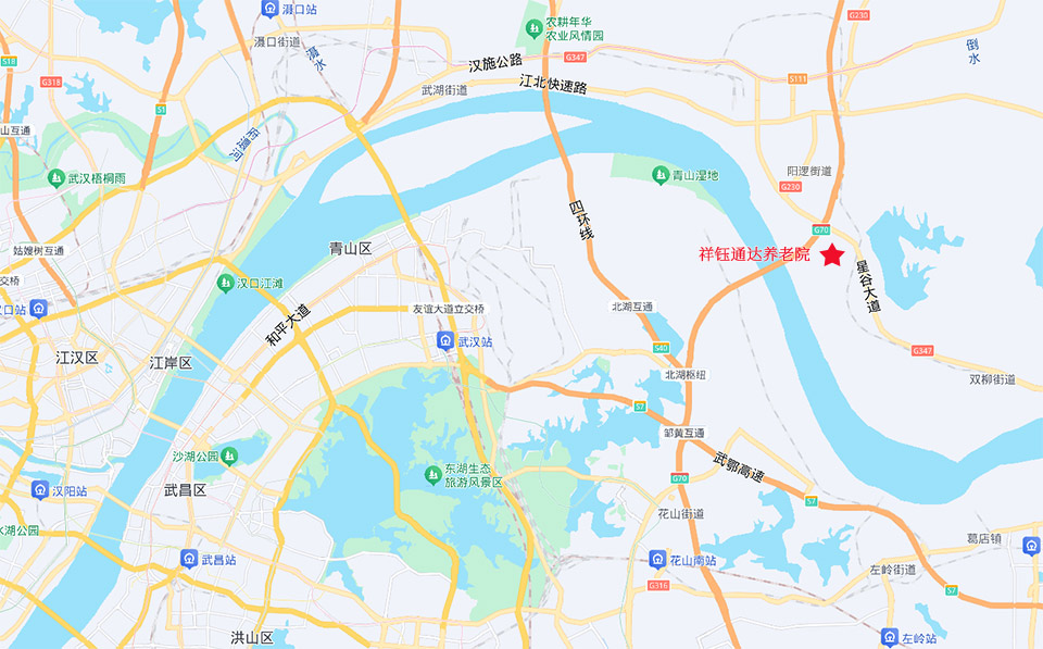 新洲区通达养老院地址